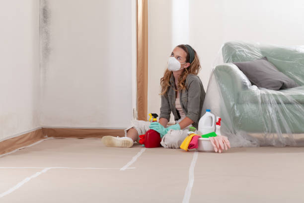 Reliable Mold Remediation contractor in Bladensburg, MD by WQB Mold Removal